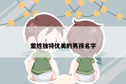 雷姓独特优美的男孩名字