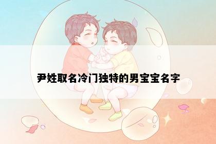 尹姓取名冷门独特的男宝宝名字